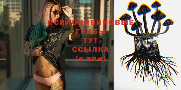 apvp Магадан