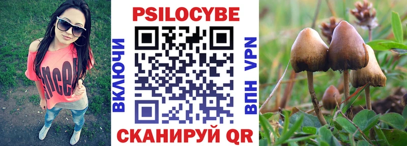 Купить  Мичуринск  Псилоцибиновые грибы GOLDEN TEACHER 